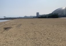 IMG_6559.jpg