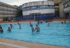 DSC03810.jpg