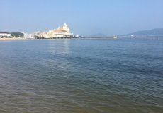 IMG_9442.jpg