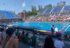 IMG_0909.jpg